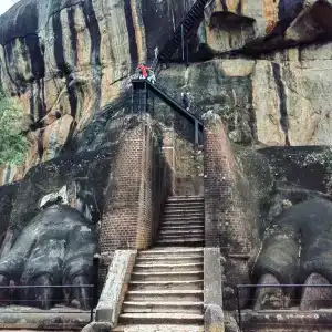 Pandanus Beach Resort & Spa - 7