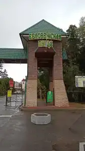 Belovezhskaya pushcha №2 - 29