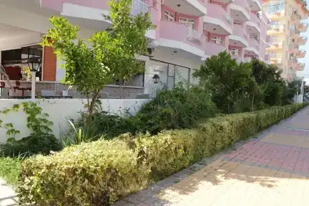 Bella Rose Apart, - 28