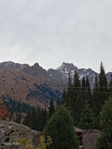 Namaste Shalle 2000M - 18