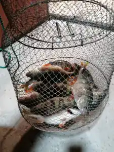 Tihiy Prichal Tourist base - 82