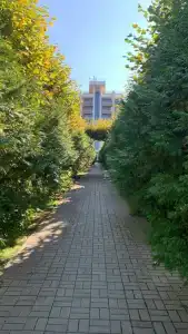 Метрополь Гранд Геленджик - 43