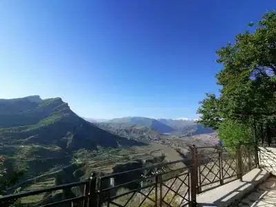 Белые журавли - 44