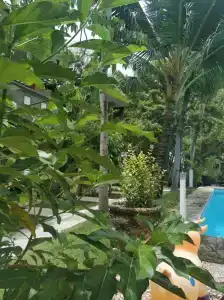 Melasti Kuta Beach & Spa - 31