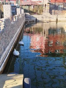 Shik Village Resort & Spa - 3