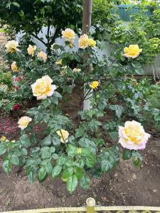 АНДАЛУСИЯ - 19