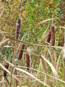 Mia Terra Tourist base - 27