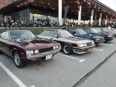 Complex Tigre de Cristal& Resort - 9