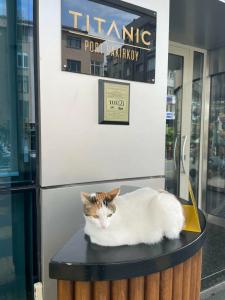 Titanic Port Bakirkoy - 19