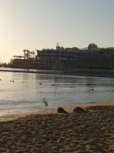 Cataract Layalina Naama Bay - 19