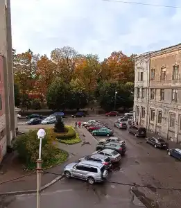 Летучая мышь - 25