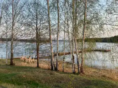 Bunchuk - 86