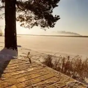 Zagorodnayy Klub Lesnaya Skazka - 18