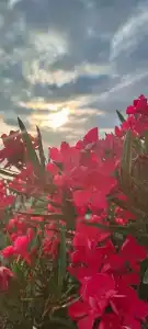 Akalam kantri klab - 49