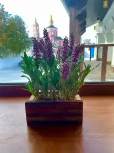 Кремлевский - 28