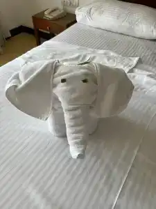 Pandanus Beach Resort & Spa - 14