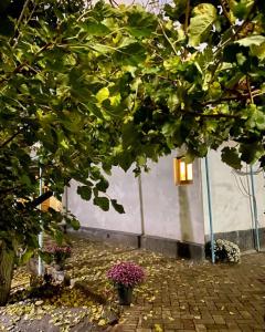 ANTICA Family Guest House - 8