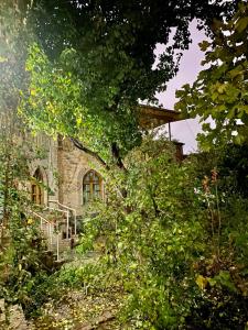 ANTICA Family Guest House - 11