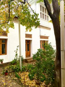 ANTICA Family Guest House - 9
