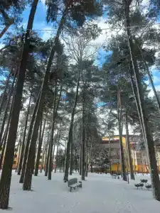 KUP detskiy reabilitatsionno-ozdorovitelnyy tsentr Zhdanovichi - 5