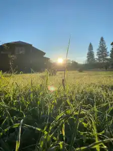 Verhnie Golubyye Ozyora - 21