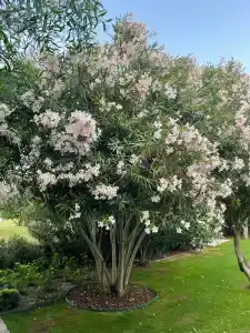 Six Senses Kaplankaya - 18