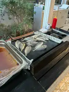 MARMARIS BEGONVILLE BEACH+16 ADULT ONLY - 45