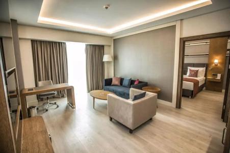 Dedeman Tokat - 16