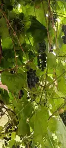 Aghrougolok Hostel - 42