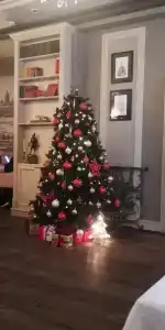 Aleksandrovski Grand - 31