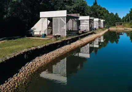 Plescheevo Recreation camp - 29