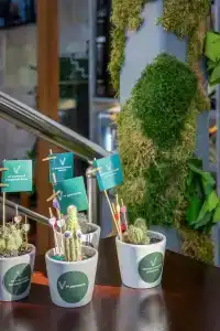 V&Rooftop lounge - 37