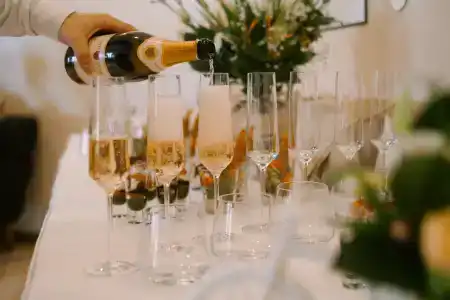 Дипломат - 58