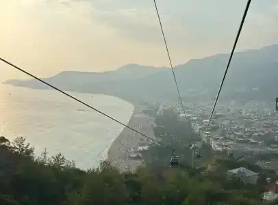 Kleopatra Royal Palm - 28