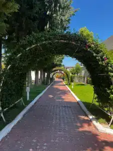 Asteria Collection - 5