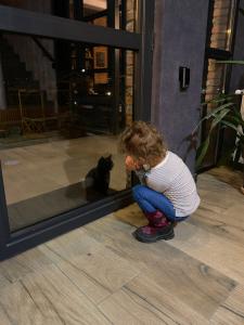 Hilltop Kazbegi - 25