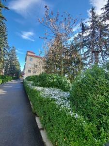 Sanatorium im. S.M. Kirova - 34