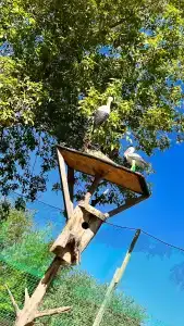 Guest house Druzhba - 15