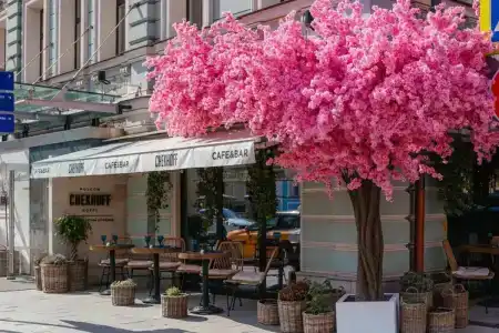 Chekhoff Moscow Curio Collection by Hilton - 34