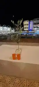 Club Munamar Beach Resort – All Inclusive - 38