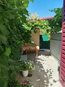 Semeynyy uyut - 9