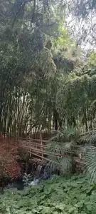 Okatur Tourist base - 77