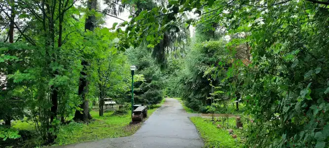 Solontsovo - 82