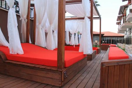 Dolphin Apart & - 40