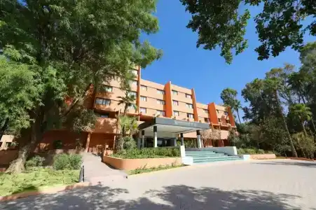 Kenzi Rose Garden - 5