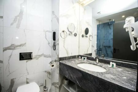 Best Western PLUS Premium Inn - 62