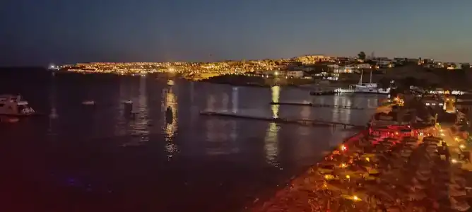 Shark Bay Oasis - 41