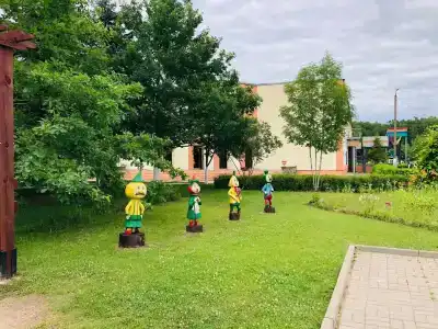 Detskiy Sanatoriy "Rosinka" - 49