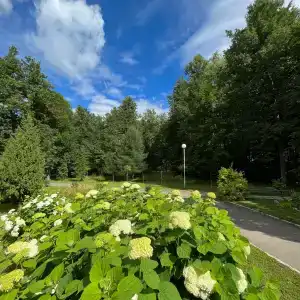 Health Resort Signal - 15