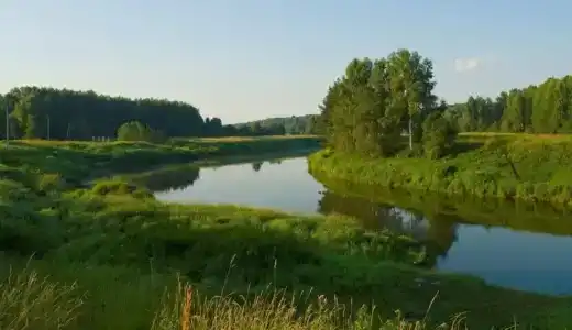 Парк-отель "Прибрежный Ярбург" - 5